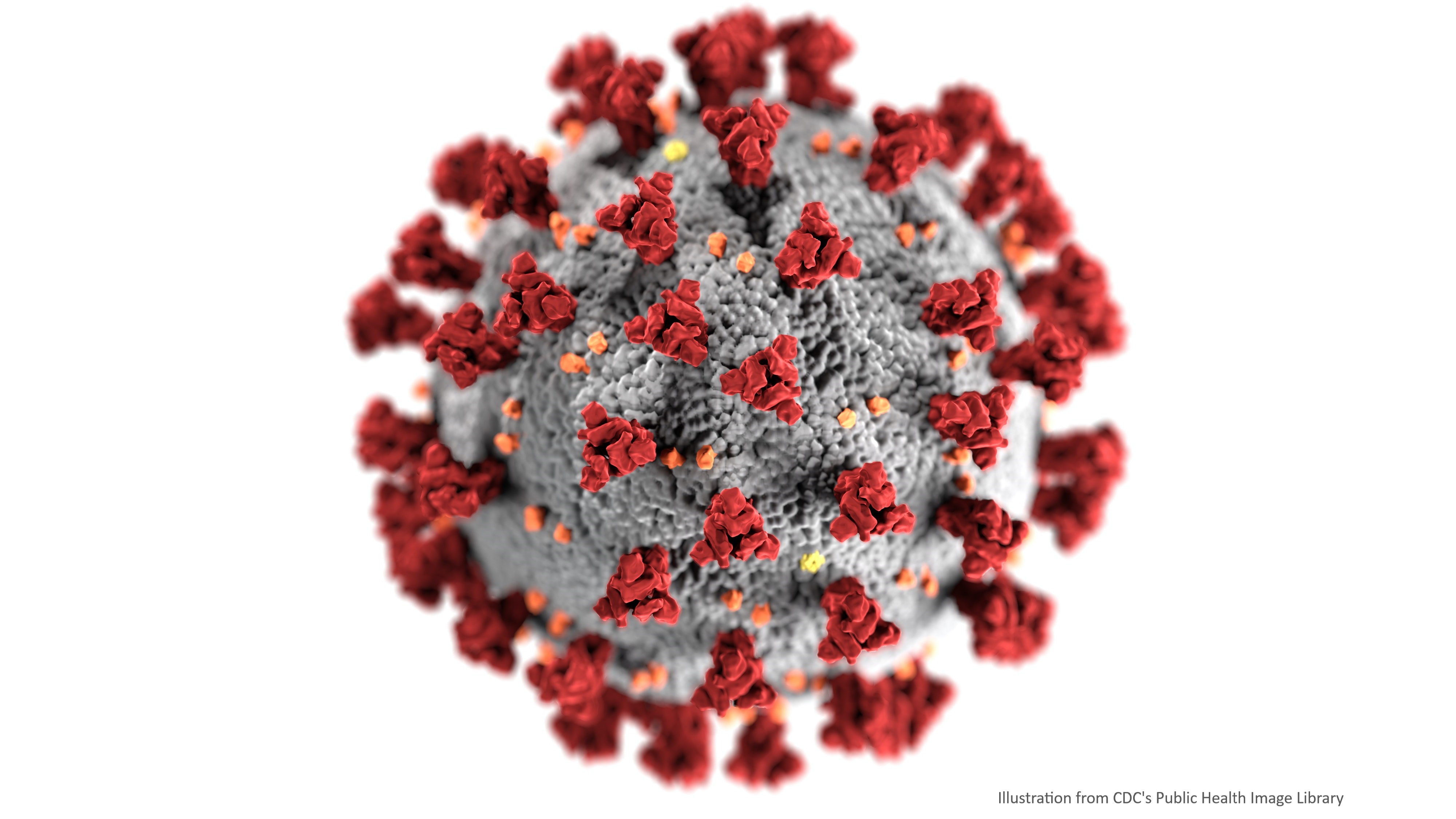 Illustration of coronavirus