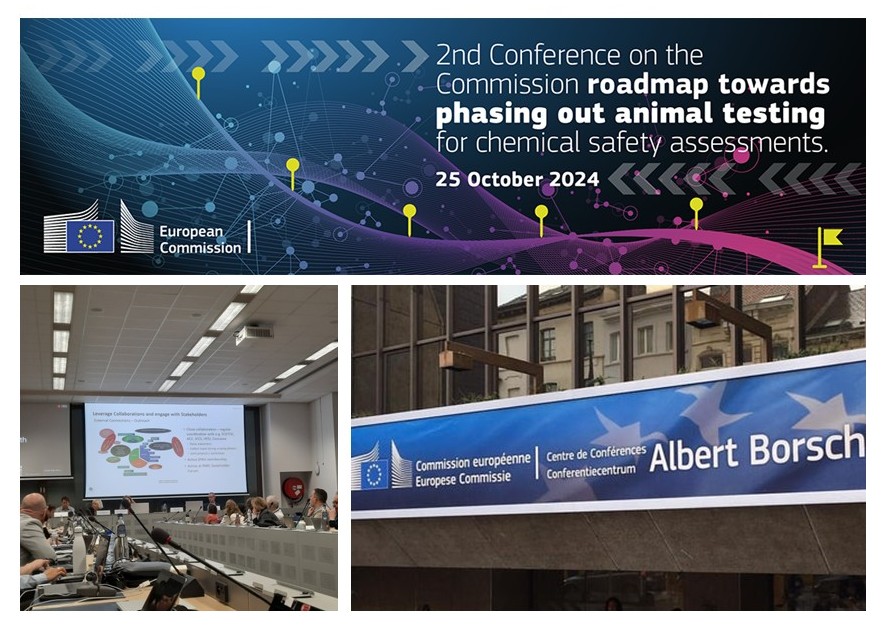 Second Workshop on the Roadmap for phasing out animal testing in chemical safety assessments